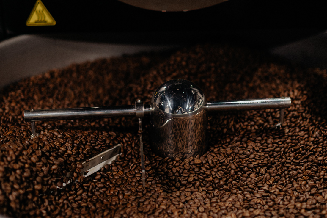 The Spectrum of the Roast: Light, Medium, and Dark