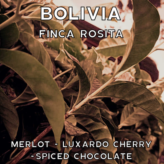 Bolivia- Finca Rosita - Anaerobic Natural