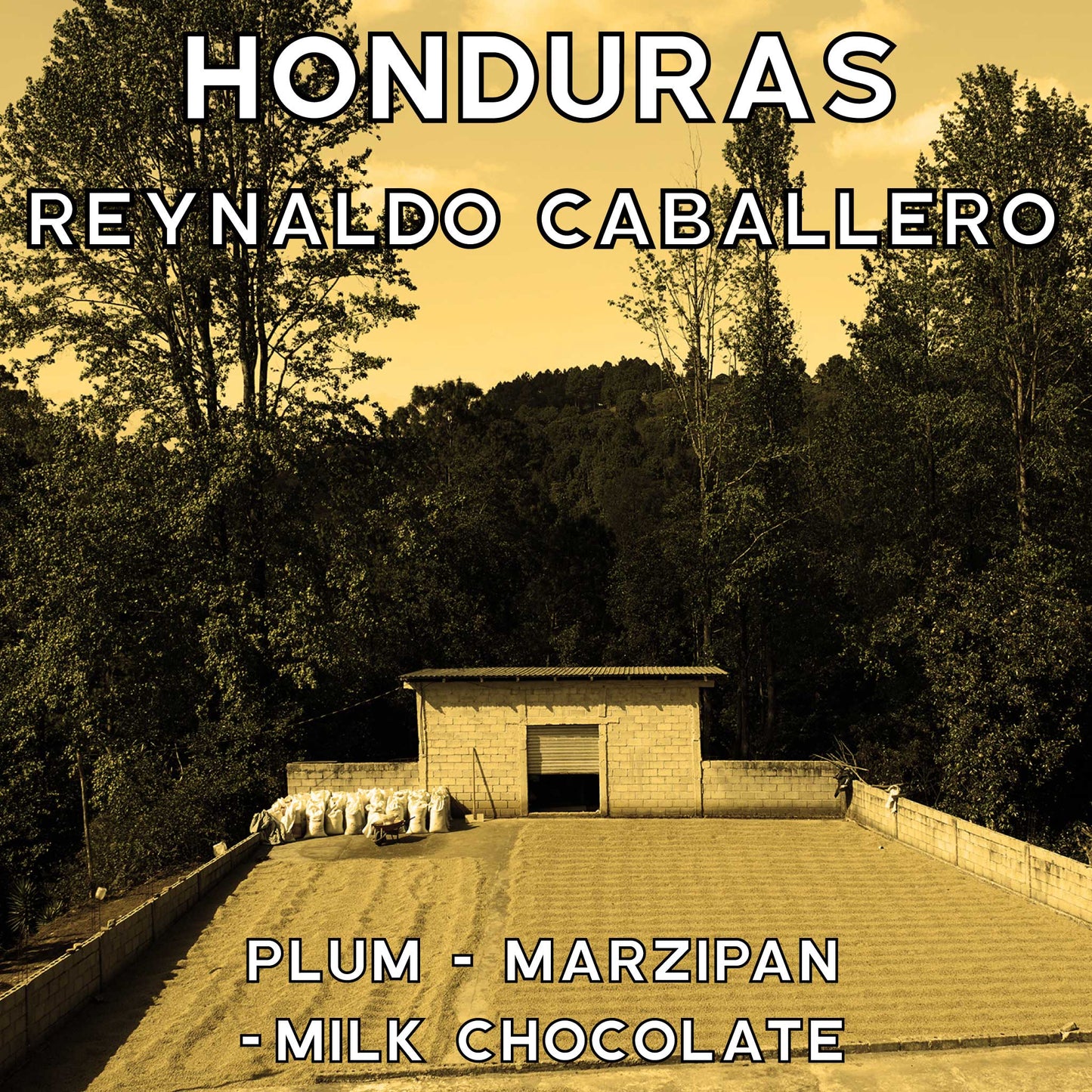 Honduras -Reynaldo Caballero - Washed